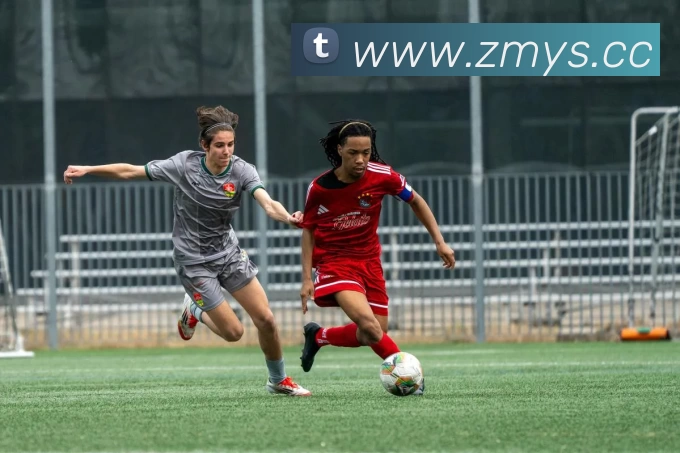 开云·kaiyun体育(中国大陆)官方网站 登录入口平台生态图