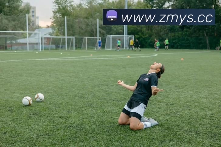 数据防护可视化